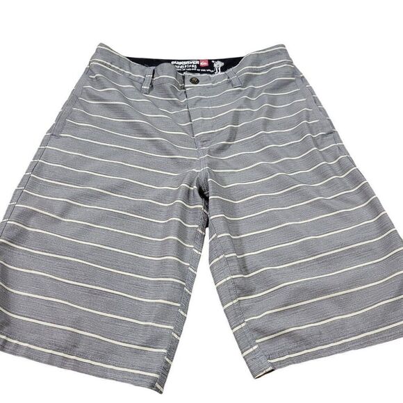Quicksilver Amphibian Shorts Mens 29 Gray Beige Striped Board Surf Skate Swim - Picture 1 of 8